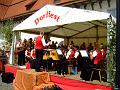 dorffest_rot07 (21)
